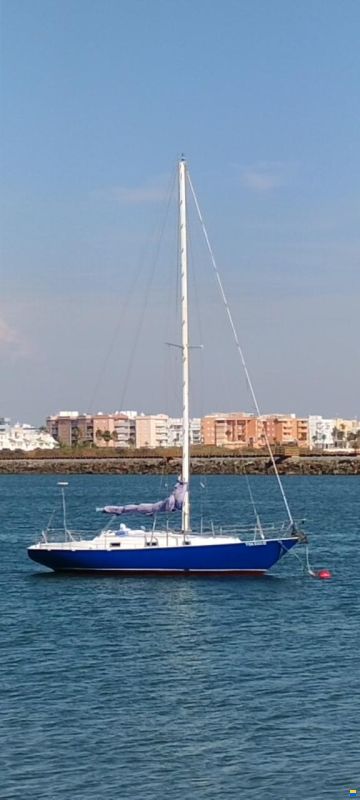Contessa 32