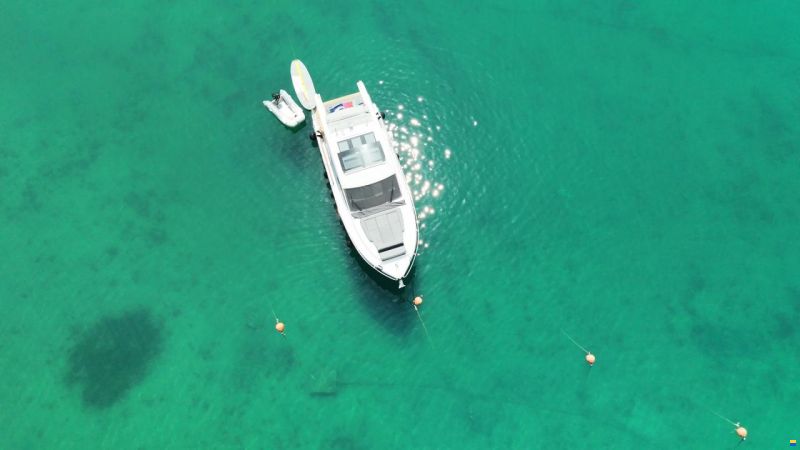 Sealine C390