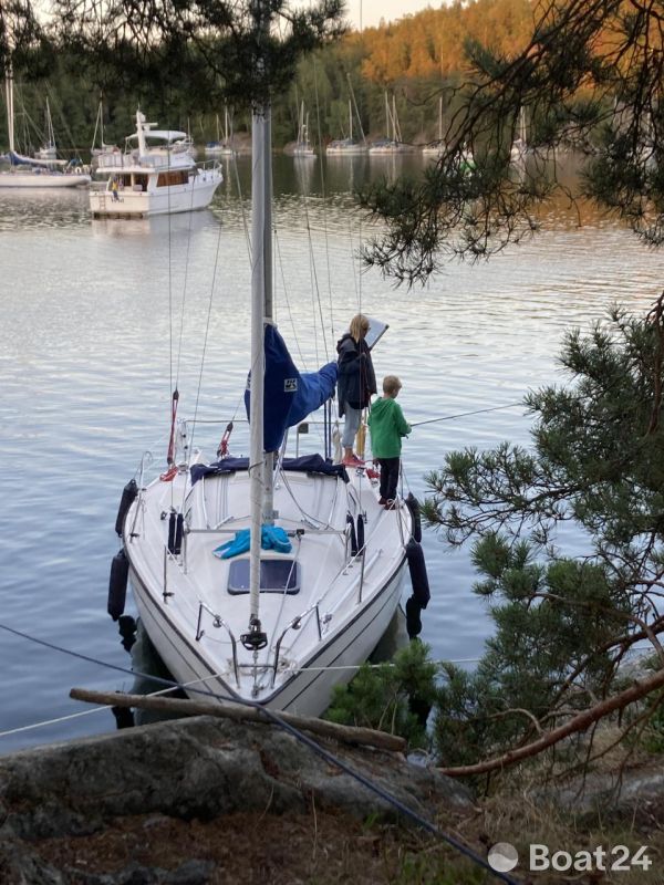 Rex Marin Aphrodite 28