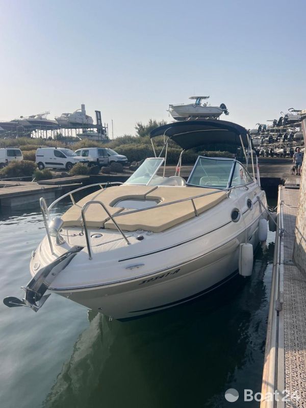 Sea Ray 255 DA