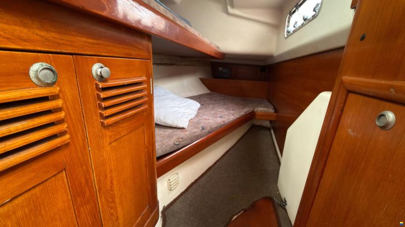 Elan 38