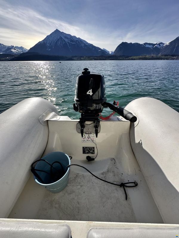 Zodiac Yachtline 310 R