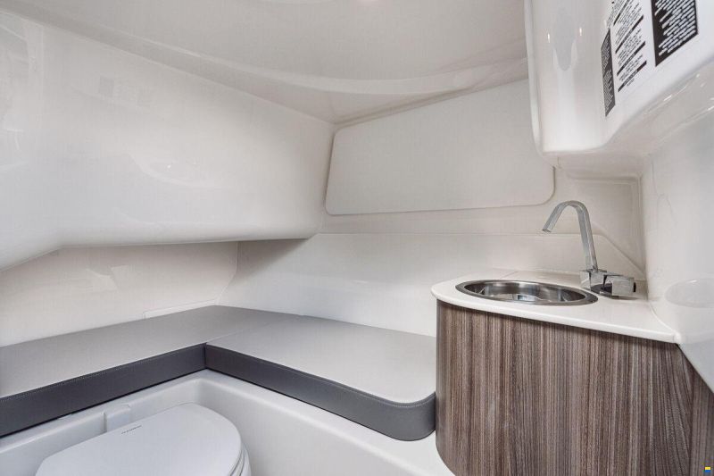 Sea Ray SDX 250