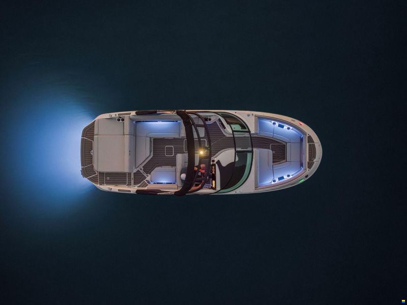 Sea Ray SDX 250