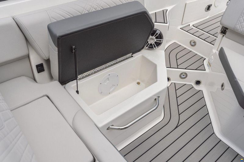 Sea Ray SDX 250
