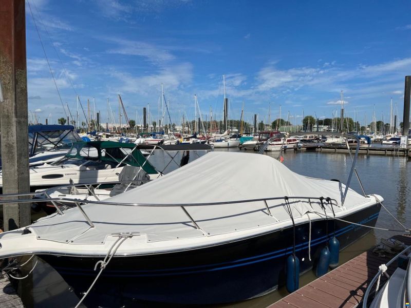 Kelt White Shark 248 SD