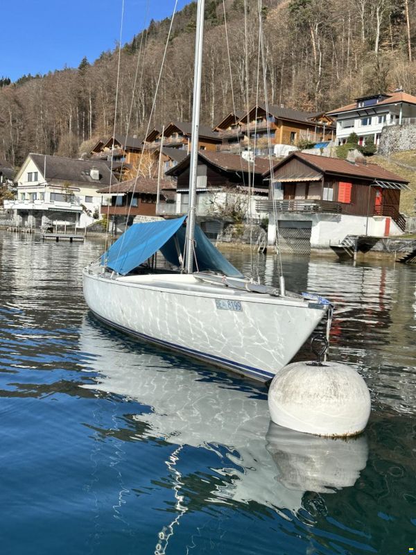 Polyform Soling, zeitlose Eleganz