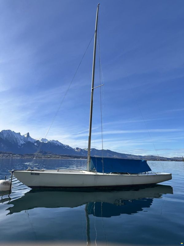 Polyform Soling, zeitlose Eleganz