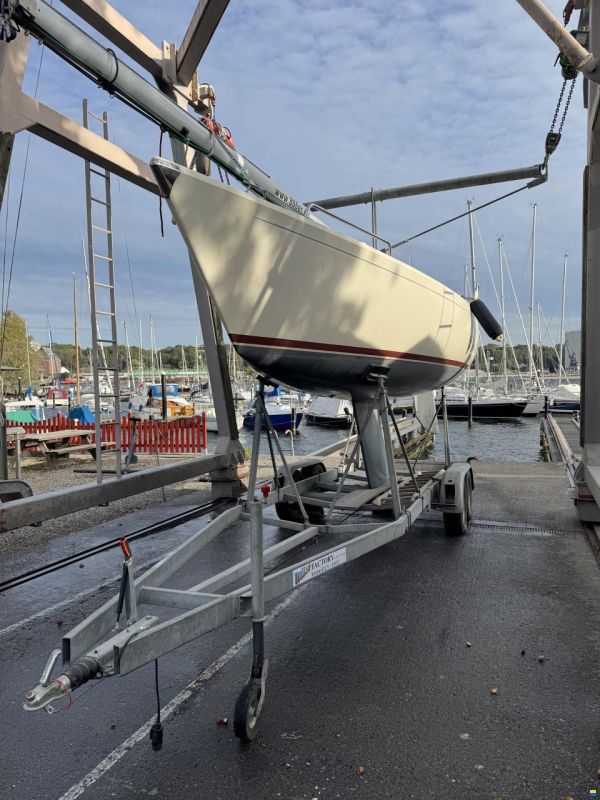 OL Boats International 806