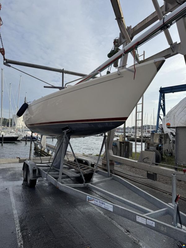 OL Boats International 806