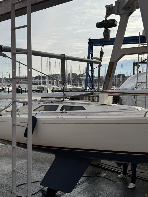 OL Boats International 806