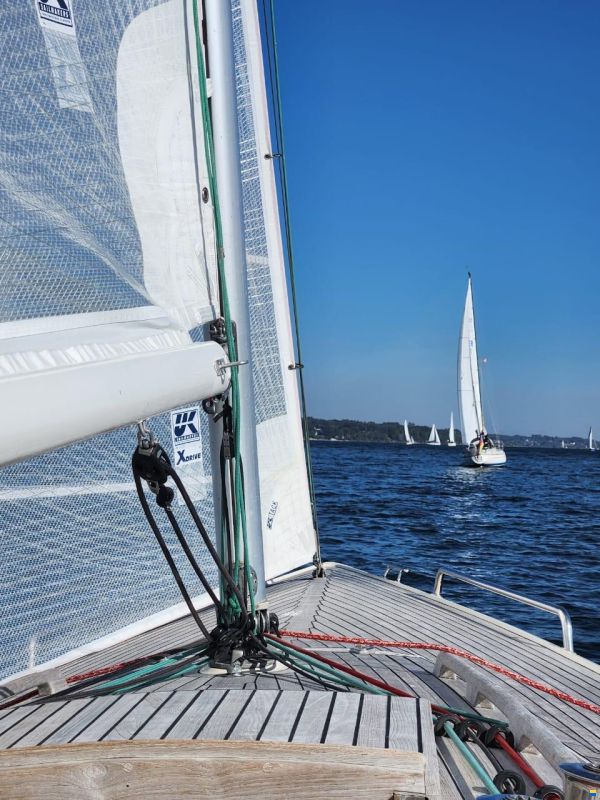 OL Boats International 806