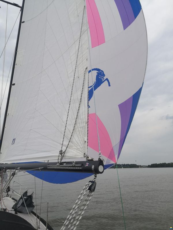Hatecke Hornet 32