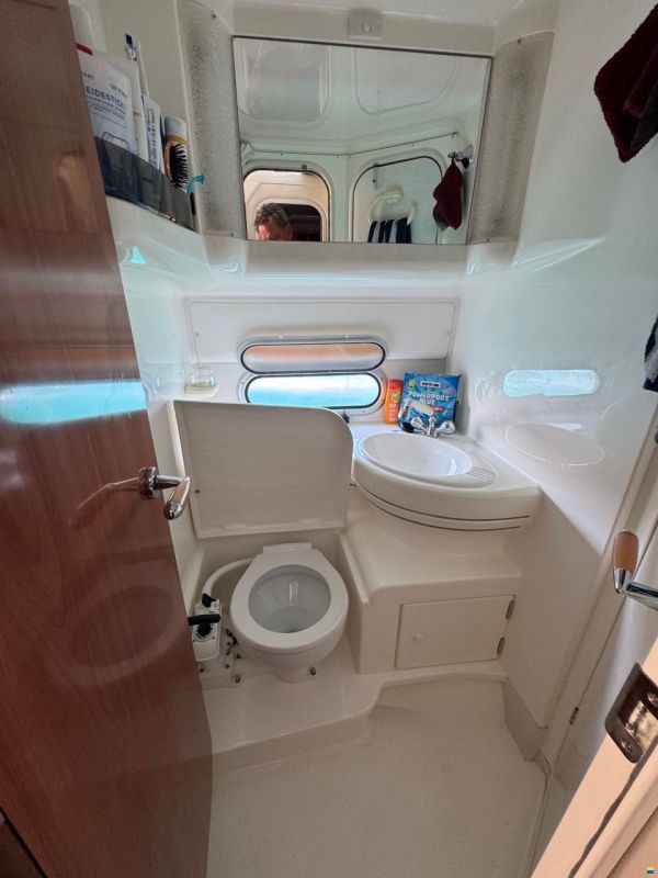Sealine F33