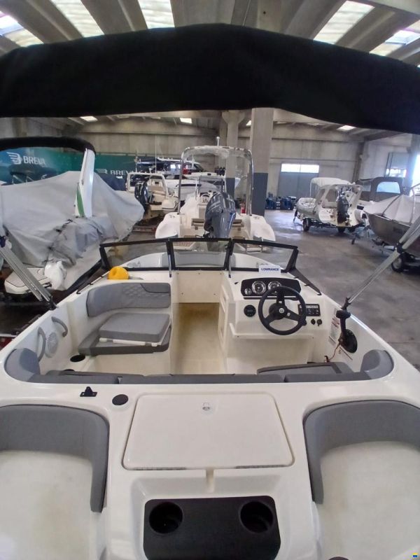 Bayliner Element M17