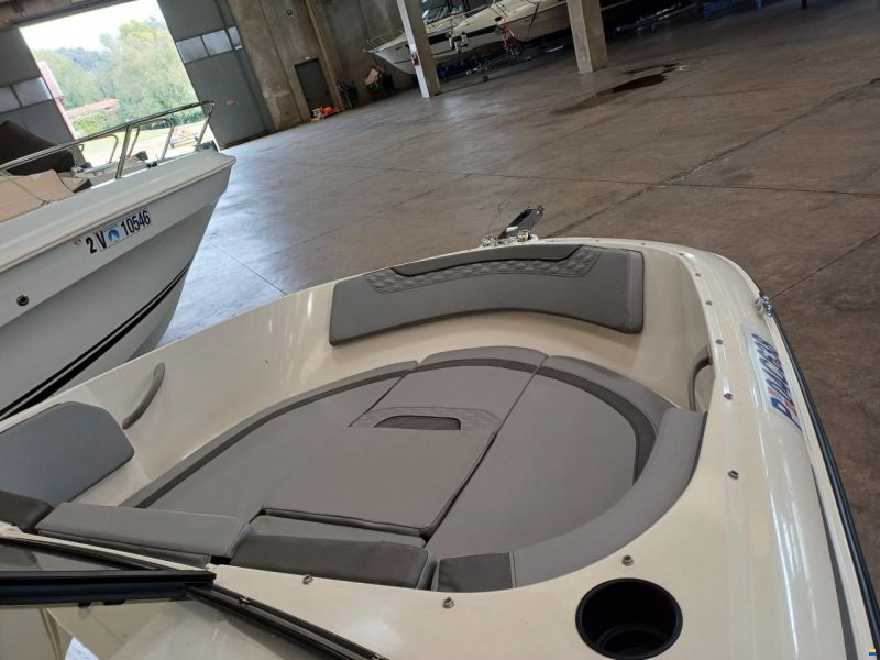 Bayliner Element M17