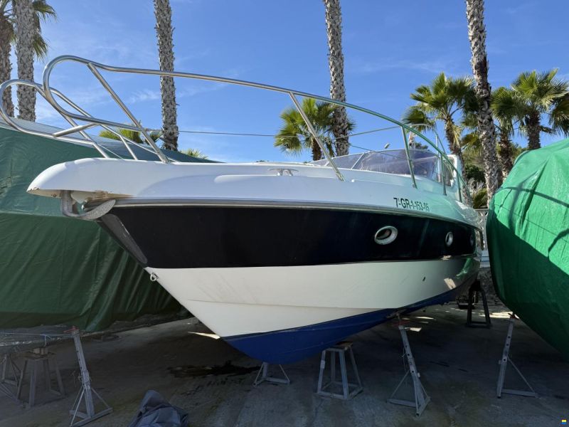 Sessa Oyster 30