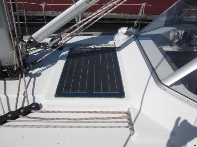 C-Yacht C-12.50