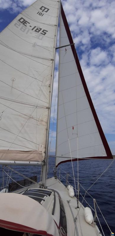 Dehler Optima 101