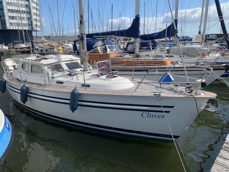 Degeroe 31 DS