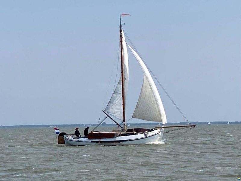 Lemsteraak Roefmodel 1010 - Dolfijn