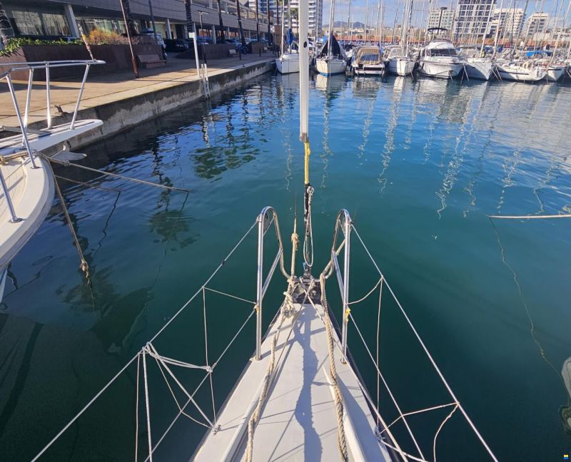 Farr 40