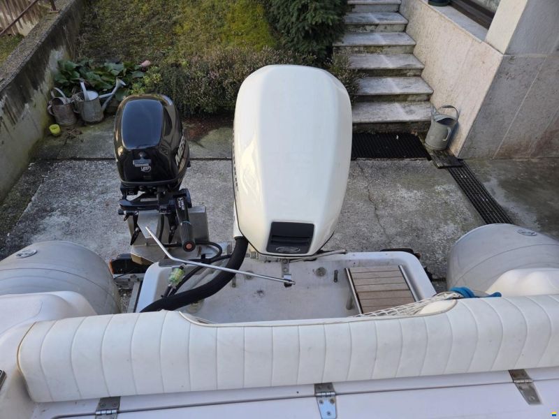 Nuova Jolly KING 490