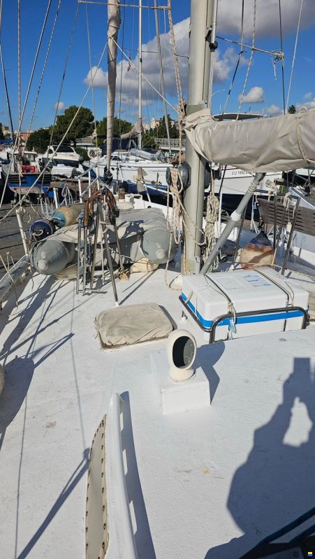 Ketch