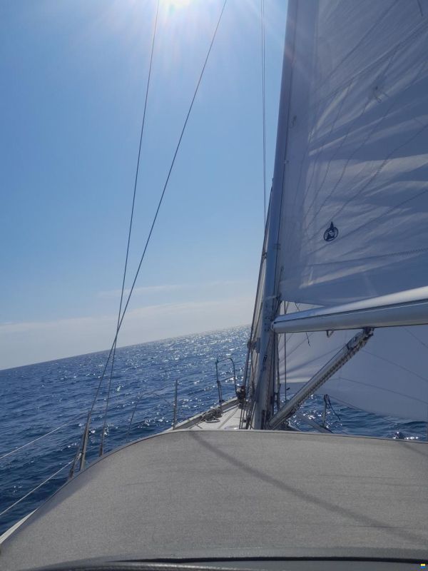 OE 36