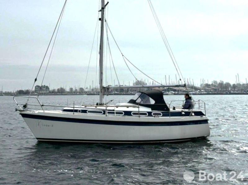 WhatsApp Image 2026-02-20 at 12.32.00.jpeg