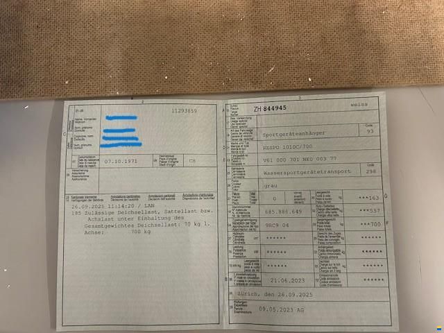 Pioner 12 Maxi Advance