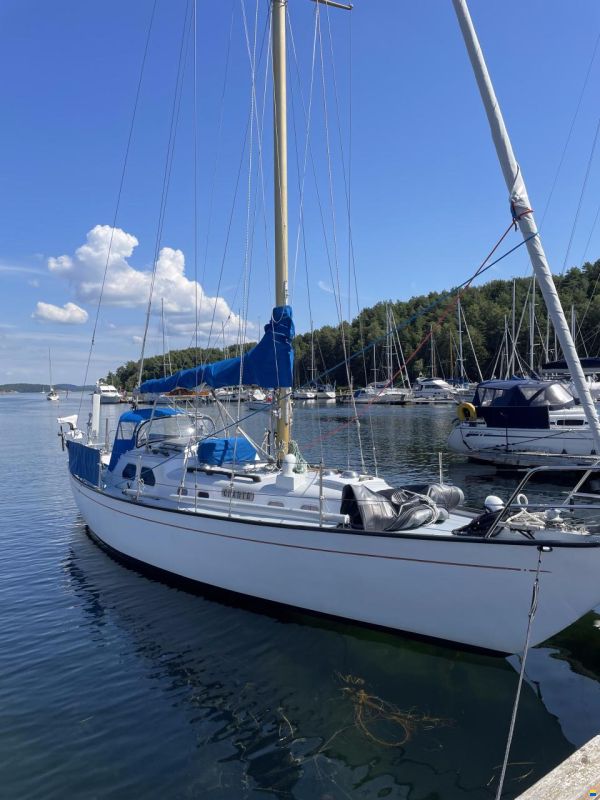 Bacchant IV