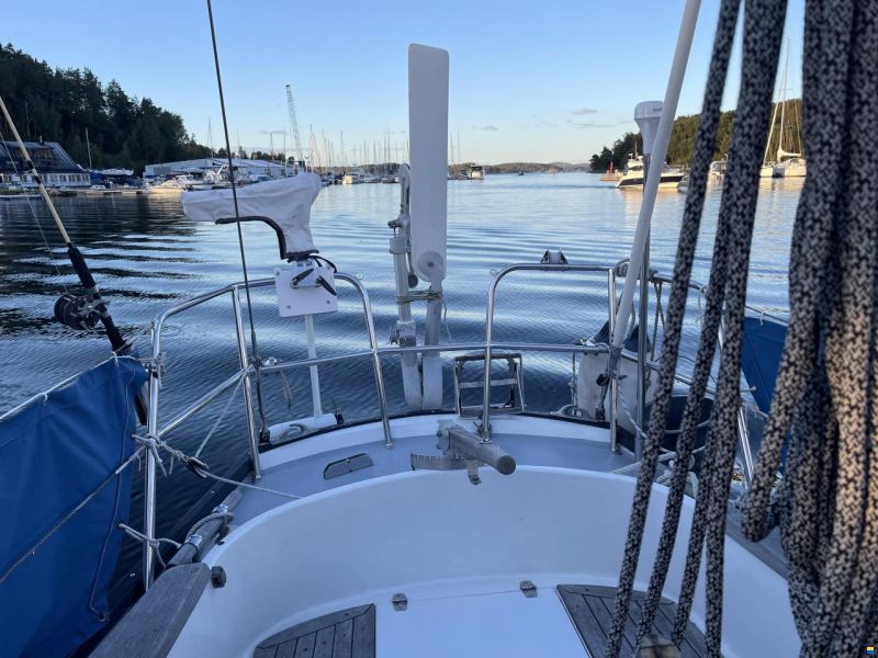 Bacchant IV