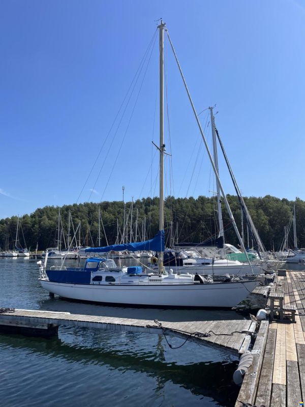 Bacchant IV