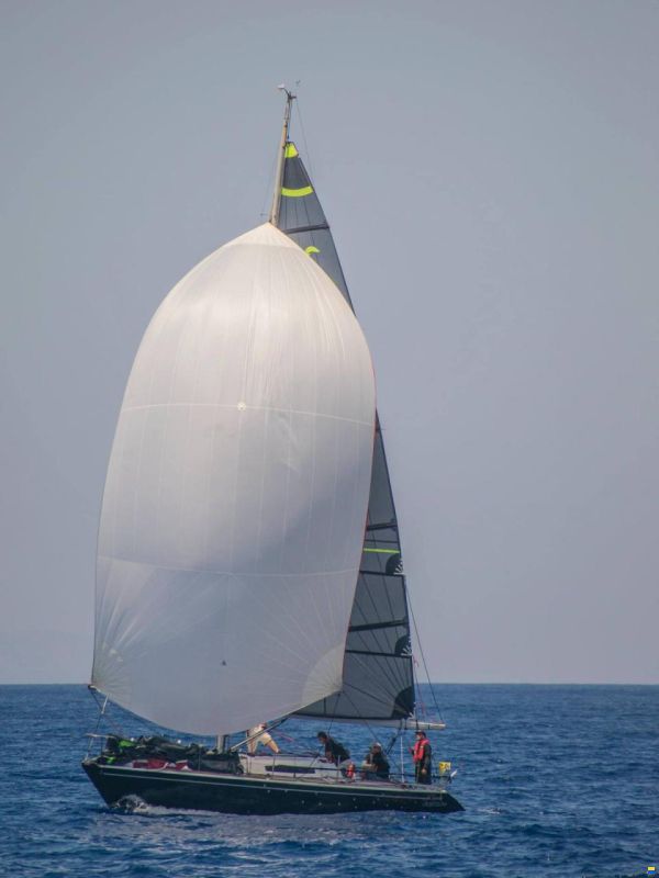 Dehler DB2 34 POSITRON