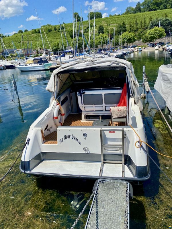 Sea Ray Sundancer 250 Da