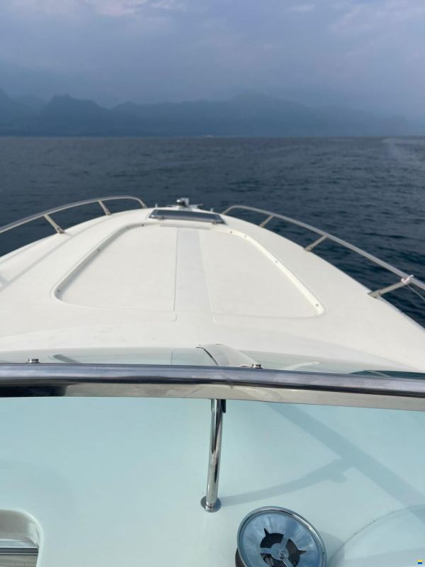 Colombo 38 SX
