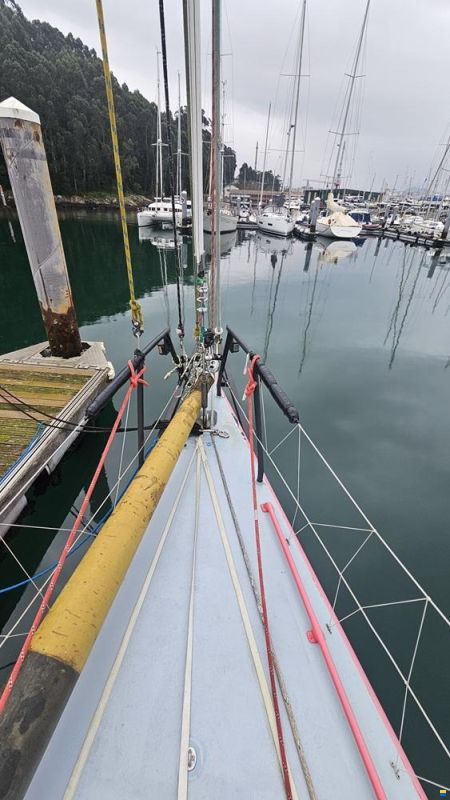 Cookson Boats VOR 60