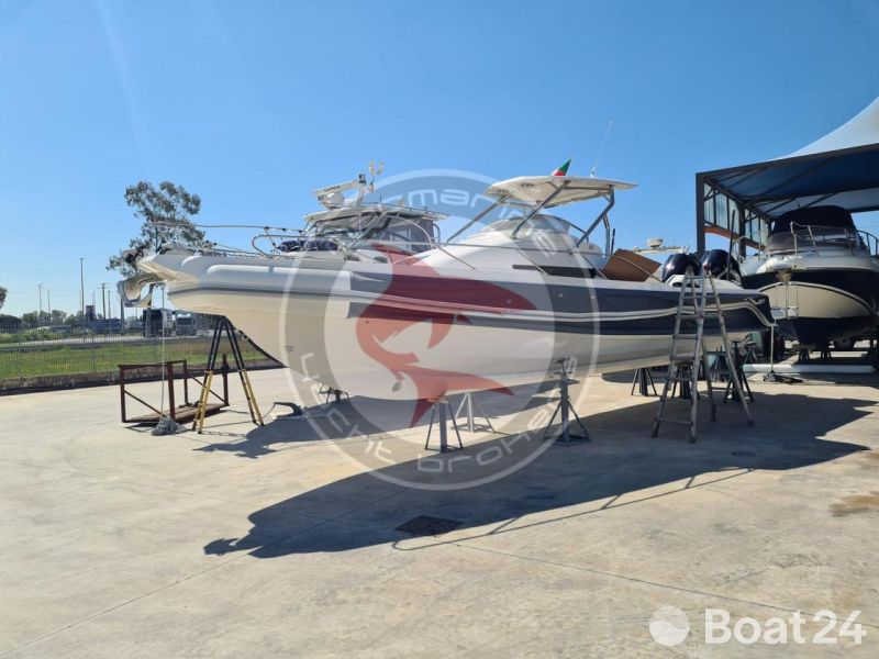 Nuova Jolly PRINCE 33