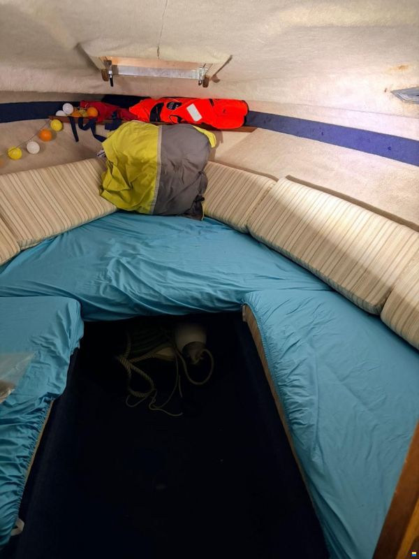 Sea Ray Seville 6.3 MC