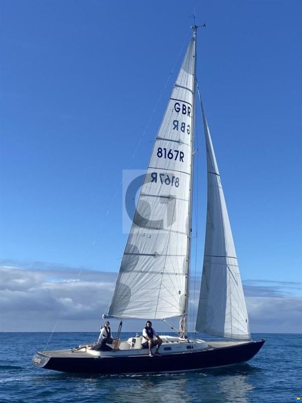 Rustler 33