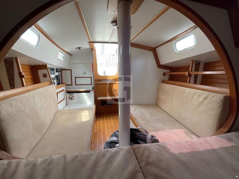 Rustler 33