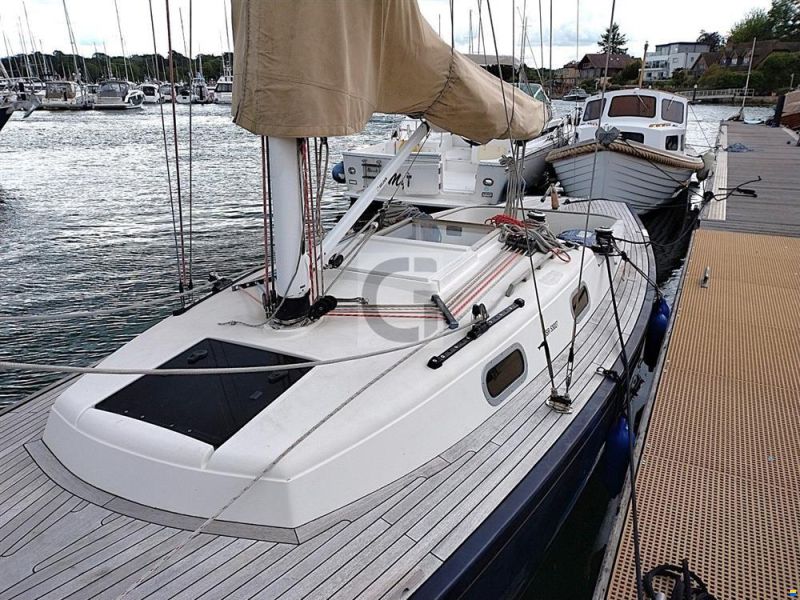 Rustler 33
