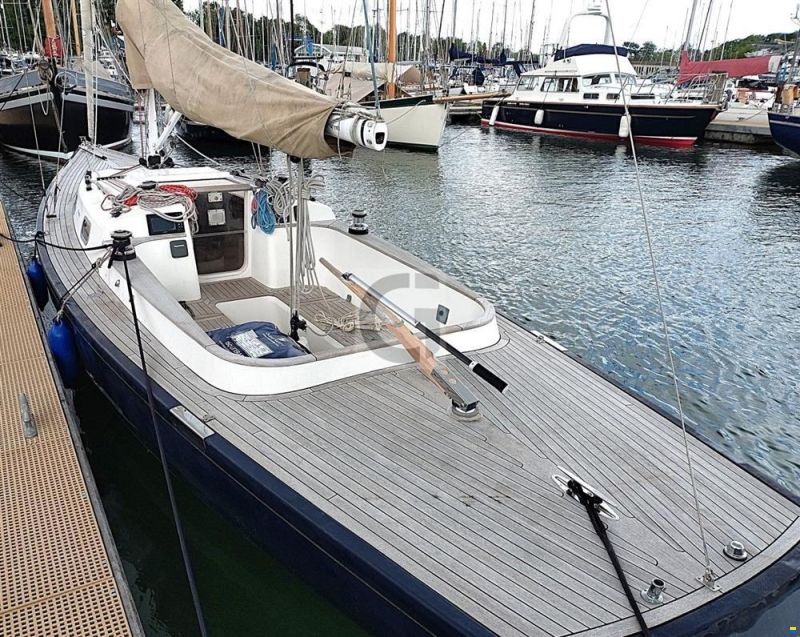 Rustler 33