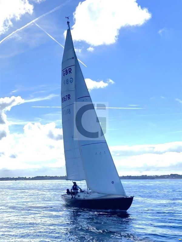 Rustler 33
