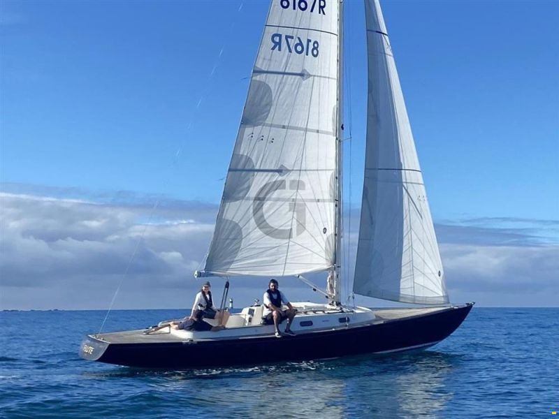 Rustler 33