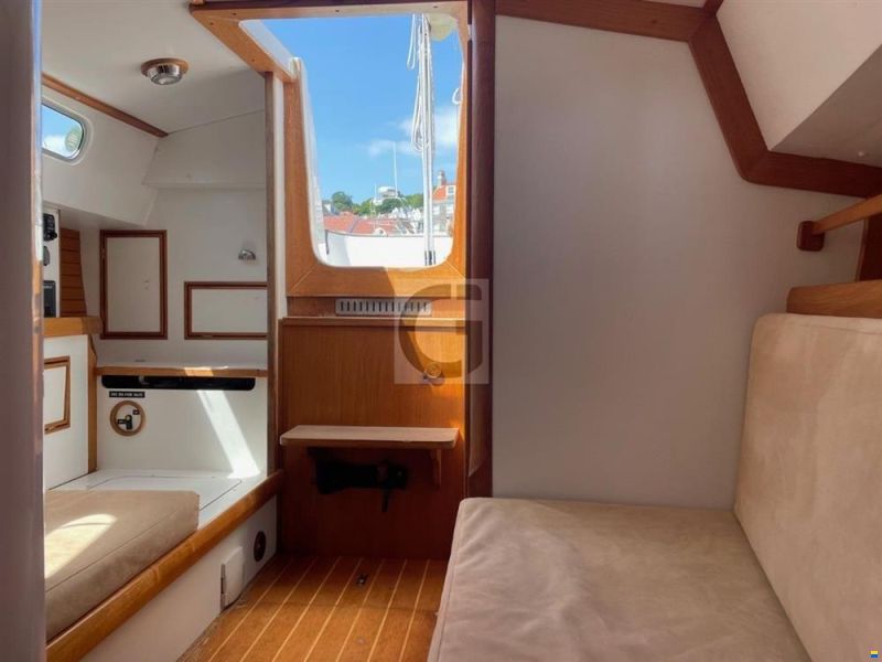 Rustler 33