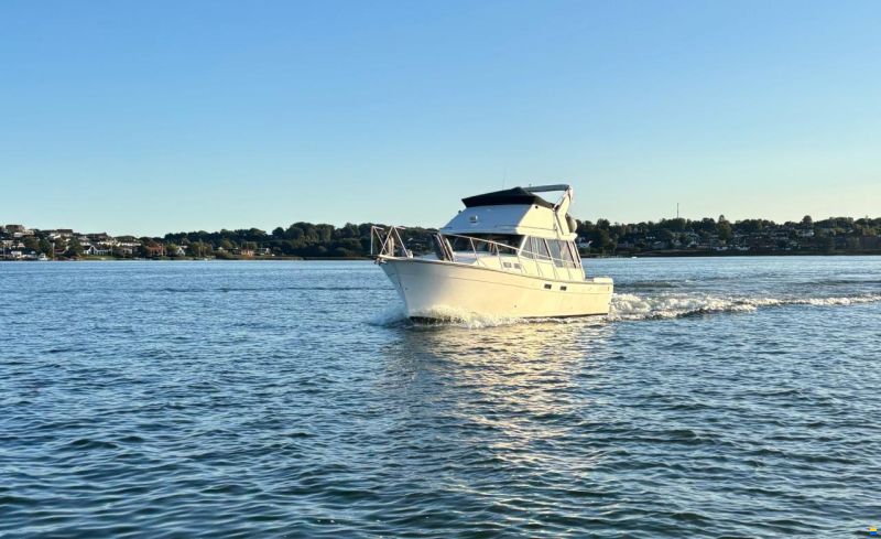 Bayliner 3288 Fly
