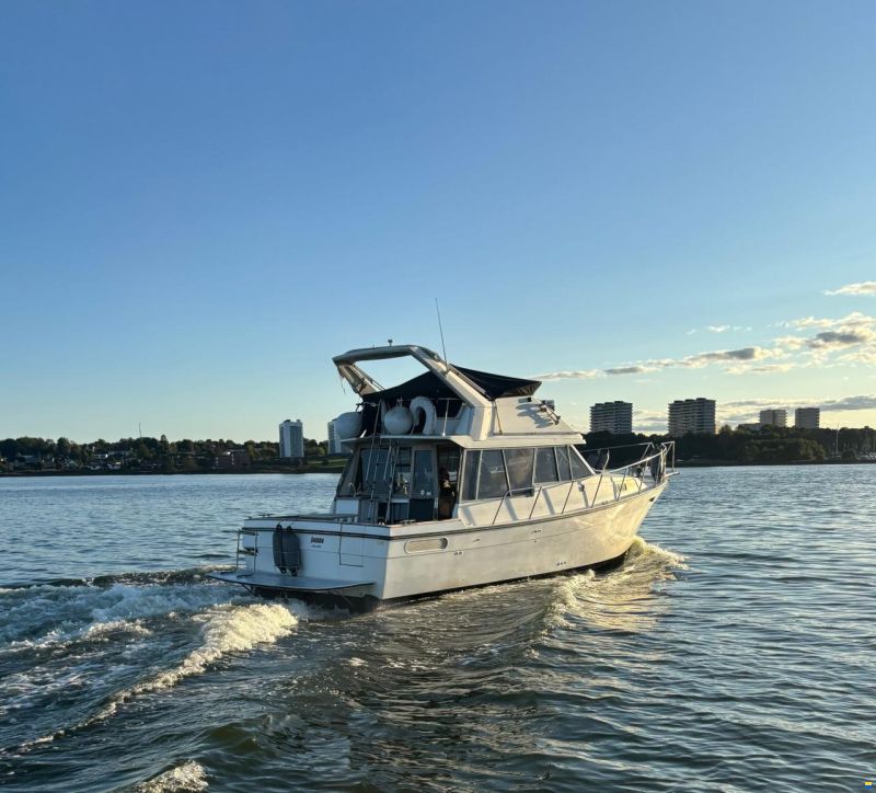 Bayliner 3288 Fly