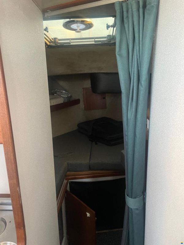 Bayliner 3288 Fly